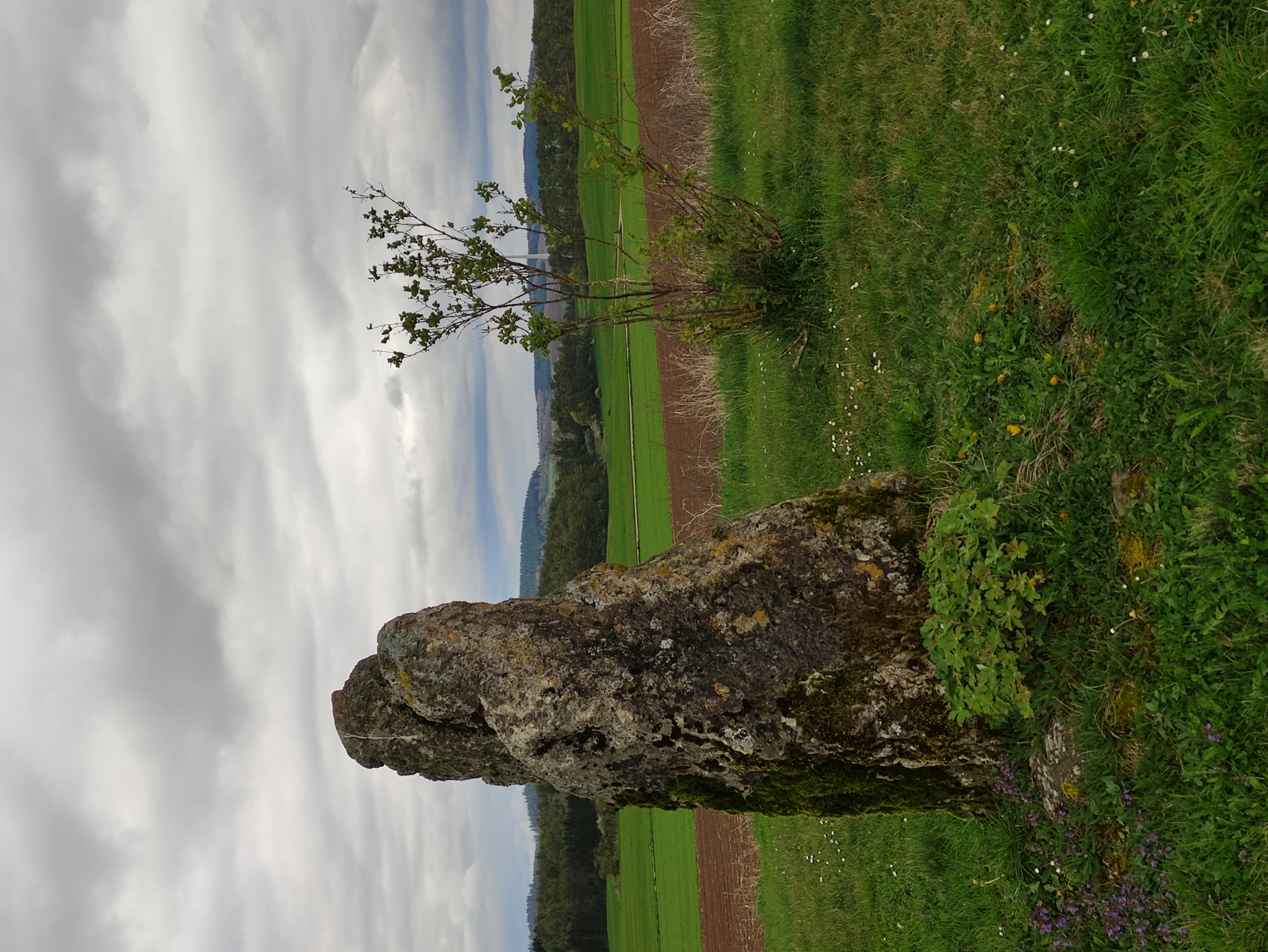 Der Menhir bei Wallersheim Image